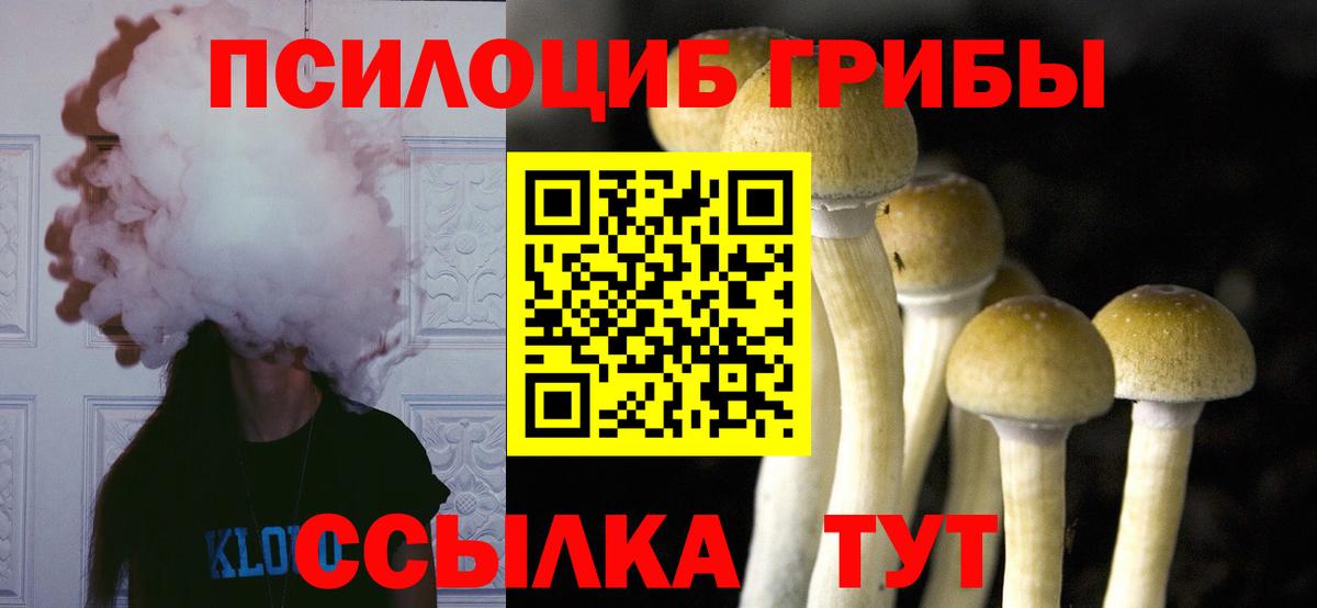 Галлюциногенные грибы Magic Shrooms  Вход с VPN  купить закладку  Лесозаводск 